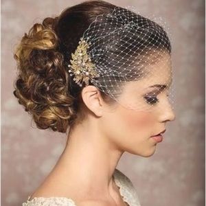 Bandeau birdcage veil